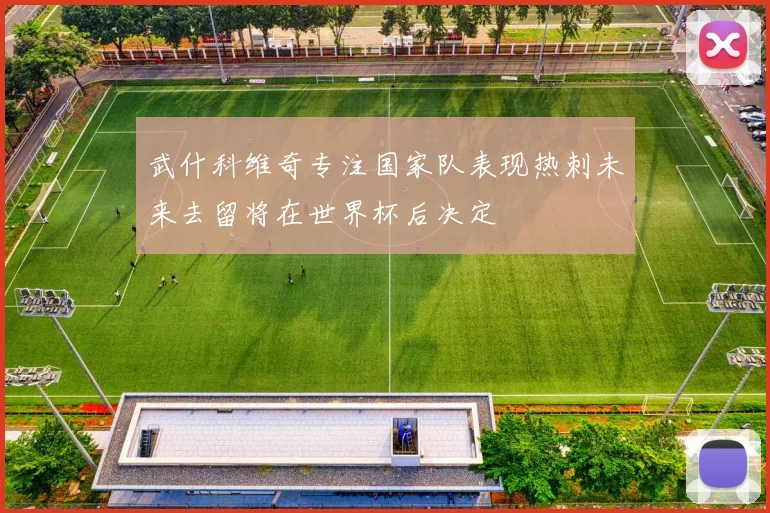 武什科维奇专注国家队表现热刺未来去留将在世界杯后决定