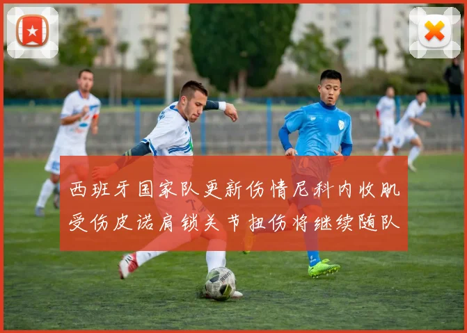 西班牙国家队更新伤情尼科内收肌受伤皮诺肩锁关节扭伤将继续随队训练